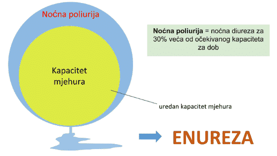 noćno-mokrenje-poliurija